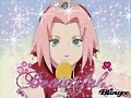 sakura prensetadora