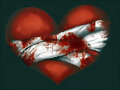Mi corazon roto!!!!!!!