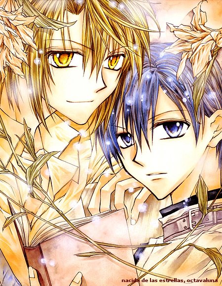 shinshi domei cross