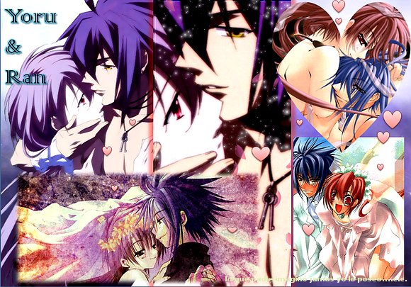 collage yoru & ran