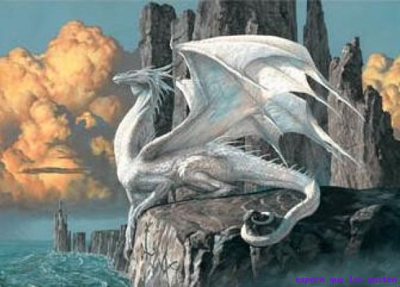 dragoncito