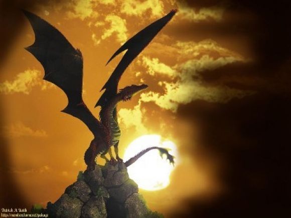 dragoncitooooooooo