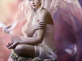 Chica Angel