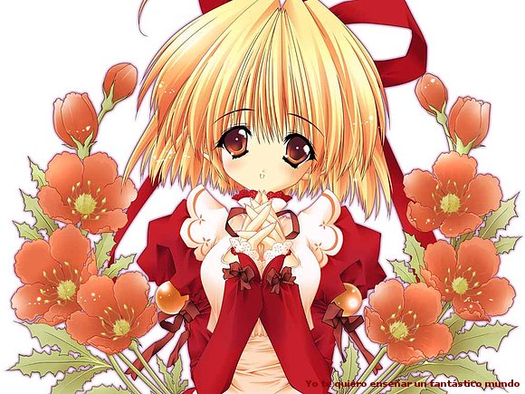 flores rojas
