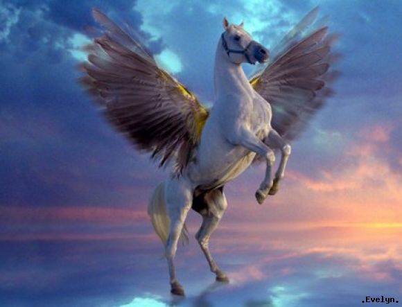 Mystical Pegasus