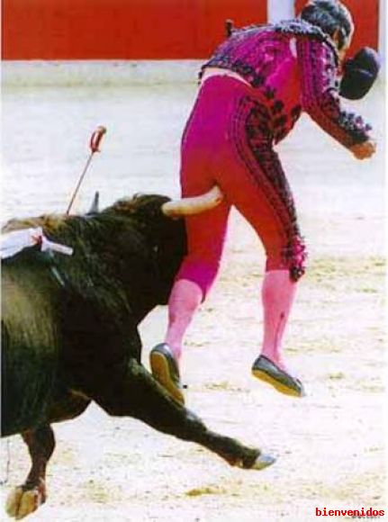 le esta dando por el culo el toro literalment