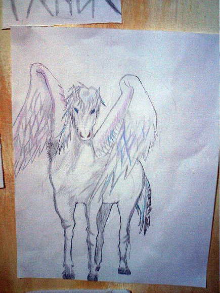 PEGASUS