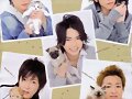 Arashi