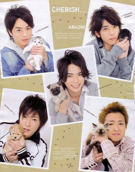 Arashi