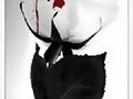 en la belleza del amor++Fantasy del dolor***