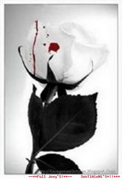 en la belleza del amor++Fantasy del dolor***