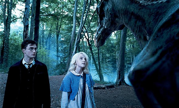 looney ... with harry and thestral