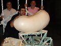 FESTA D&#039;ESTIU FALLA L&#039;AMISTAT D&#039;ALFAFAR