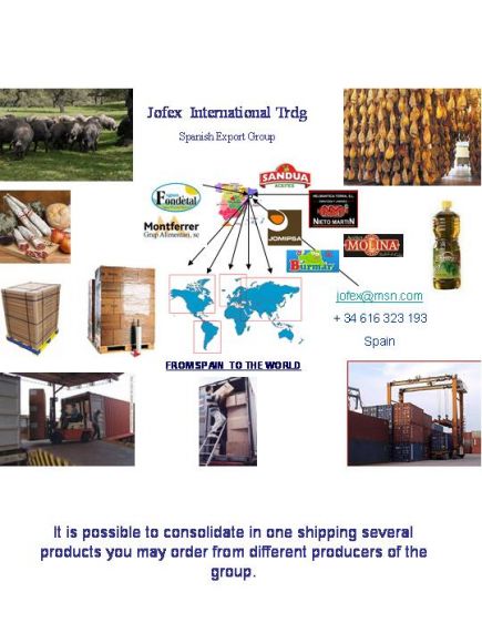 Jofex Internationa Trdg.-www.jofexspain.com
