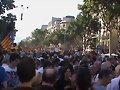 SOM UNA NACI&Oacute;. NOSALTRES DECIDIM