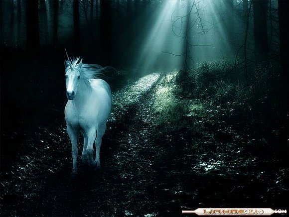 El Cuerno del Unicornio