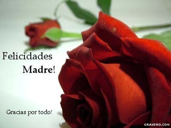POEMA PARA MI MADRE
