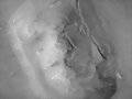 Misterios Del Planeta Marte
