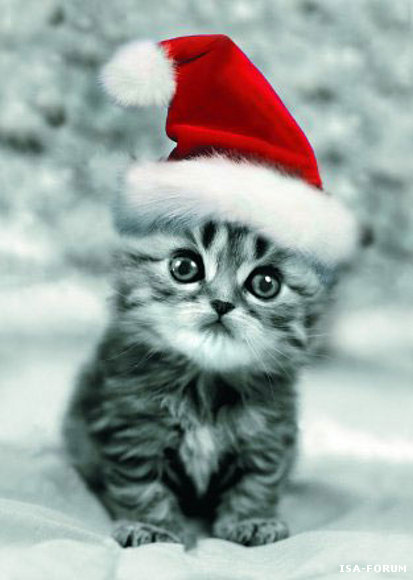 FELIZ NAVIDAD