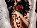 ANGELICAL IMAGEN