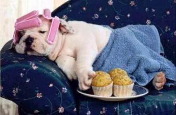 ke panxoOooOO!!