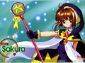 Sakura Transformada