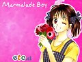 Miki de Marmalade Boy