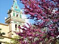 VALLDEMOSSA - MALLORCA