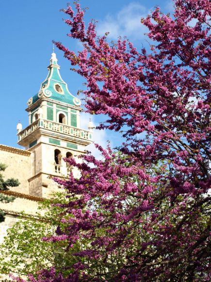 VALLDEMOSSA - MALLORCA