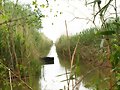 S&#039;ALBUFERA DE MURO - MALLORCA