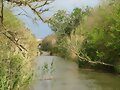 S&#039;ALBUFERA DE MURO - MALLORCA