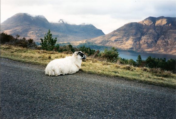 ISLA DE SKYE - ESCOCIA
