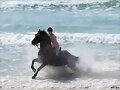 CABALLO EN ES TRENC