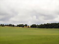 CAMPO MALLORQU&Iacute;N