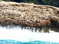 DETALLE CALA D&#039;OR