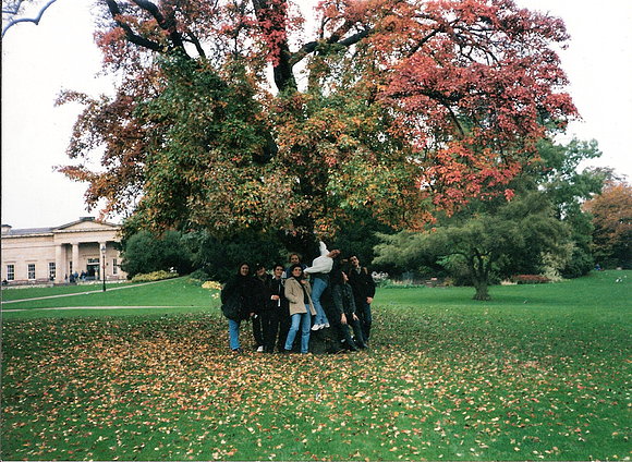EL ÁRBOL DE LOS AMIGOS