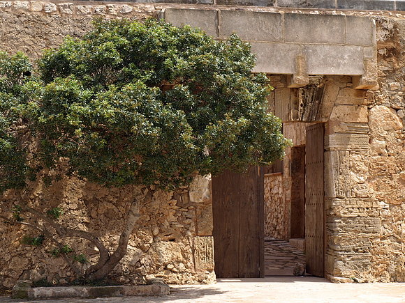 FORTÍN DE CALA D'OR - SANTANYÍ