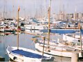 RCN PALMA