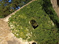 MURALLA PALMA