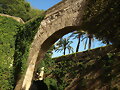MURALLA PALMA