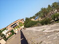 MURALLA PALMA