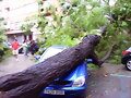 18 SEPTIEMBRE 2007