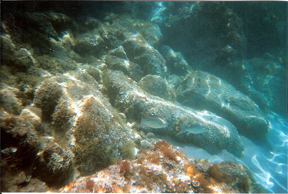 BAJO EL AGUA