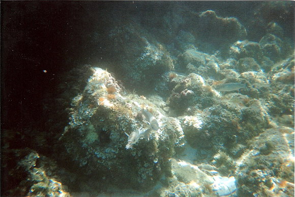 BAJO EL AGUA