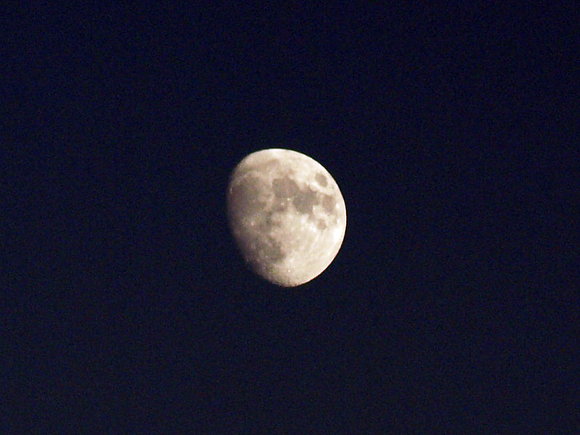 LUNA DE AGOSTO