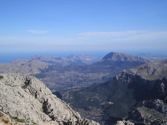 PUIG MAJOR