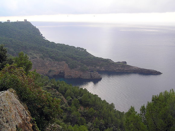 SOLLER