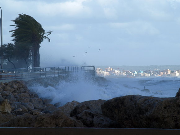 VIENTO DE NOVIEMBRE