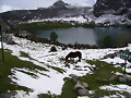 LAGO ENOL - ASTURIAS