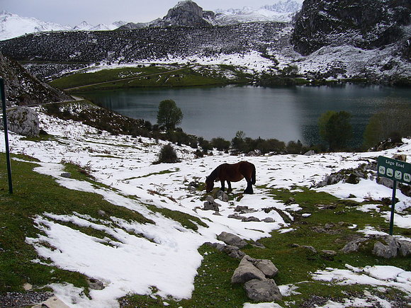 LAGO ENOL - ASTURIAS
